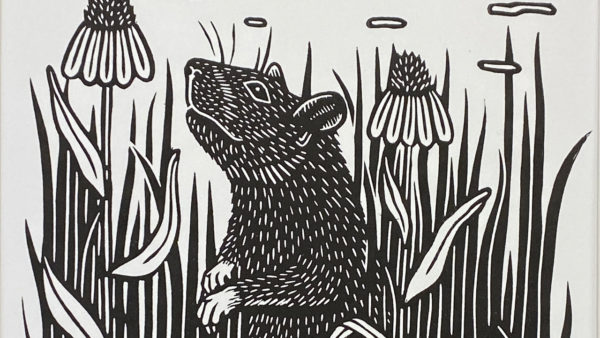 Binnenveldse Beesten: de rat - Afbeelding 6