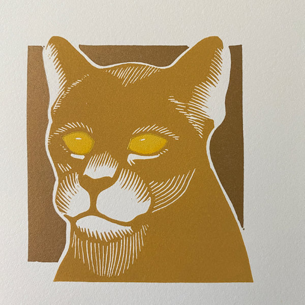 Spots Gouden achtergrond - Afbeelding 3