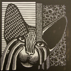 Kat 04 zwart-wit