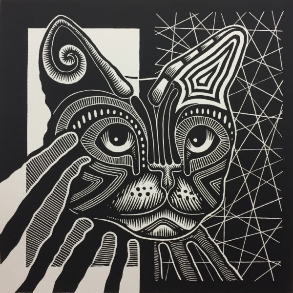 Kat 07 zwart-wit